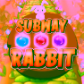 Subway Rabbit